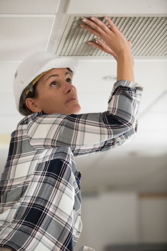 Professional Duct Inspection