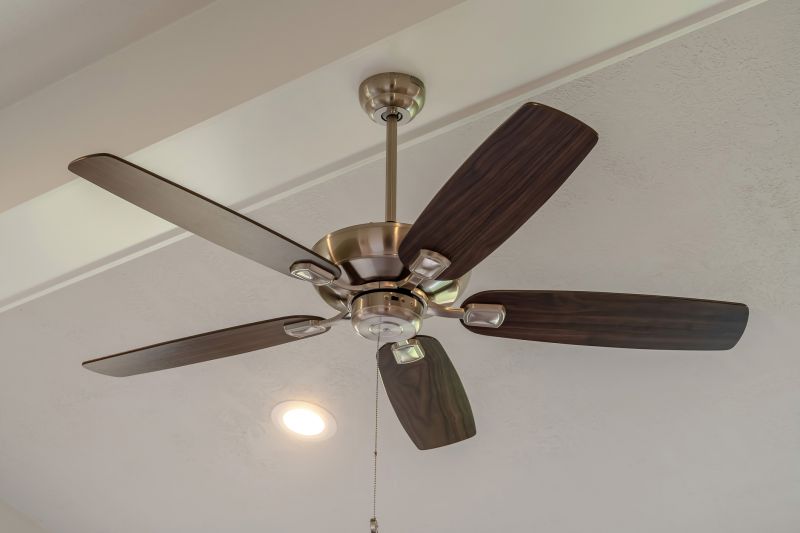 Ceiling Fan Mounting in Olathe, KS