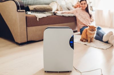 Dehumidifier Repair in Naples, FL