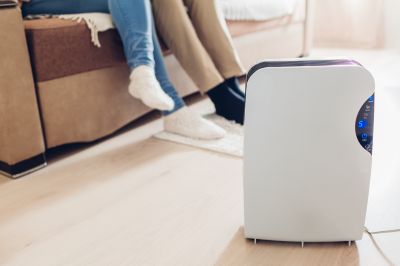 Dehumidifier Replacement in Naples, FL